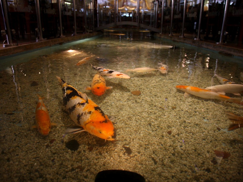 Banquet Hall Booking