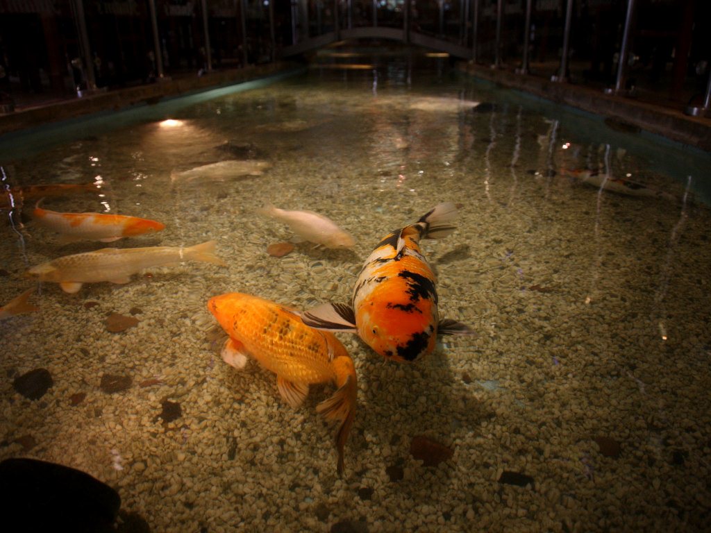 Banquet Hall Booking